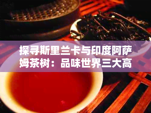 探寻斯里兰卡与印度阿萨姆茶树：品味世界三大高香红茶的独特口感与制作工艺