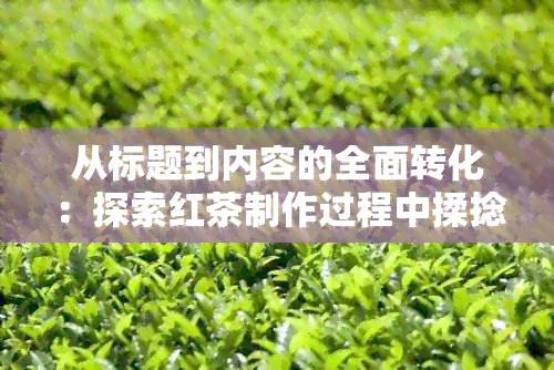 从标题到内容的全面转化：探索红茶制作过程中揉捻时间的影响及相关注意事项