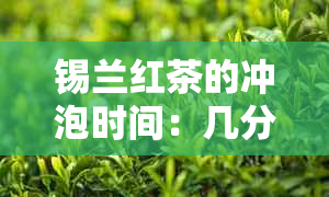 锡兰红茶的冲泡时间：几分能喝出好味道？