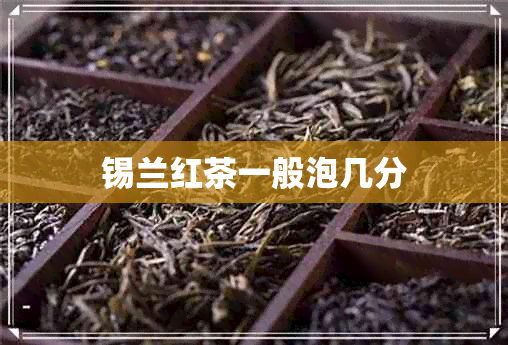 锡兰红茶一般泡几分