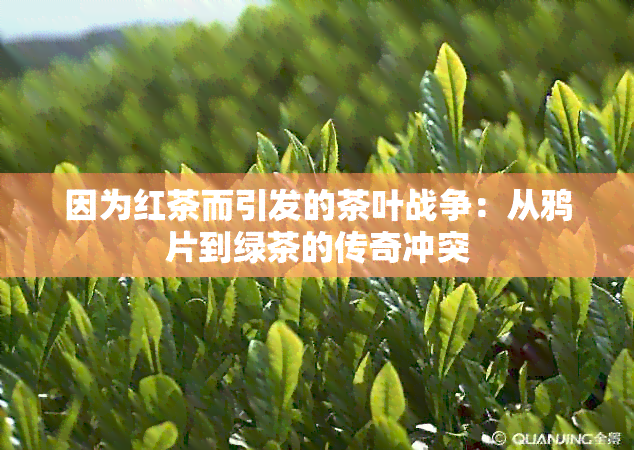 因为红茶而引发的茶叶战争：从 *** 到绿茶的传奇冲突