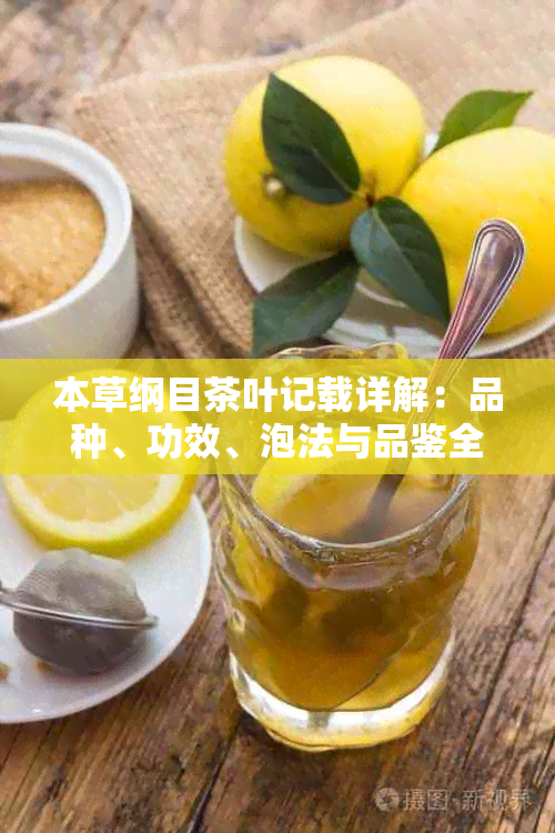 本草纲目茶叶记载详解：品种、功效、泡法与品鉴全攻略