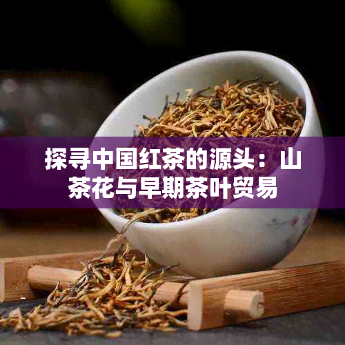 探寻中国红茶的源头：山茶花与早期茶叶贸易