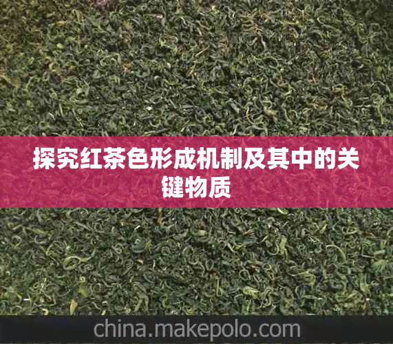 探究红茶色形成机制及其中的关键物质