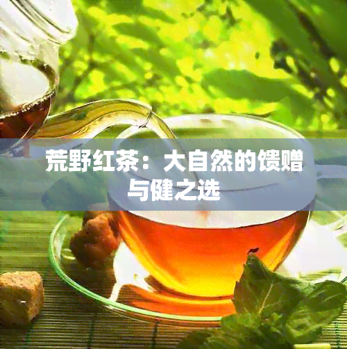 荒野红茶：大自然的馈赠与健之选