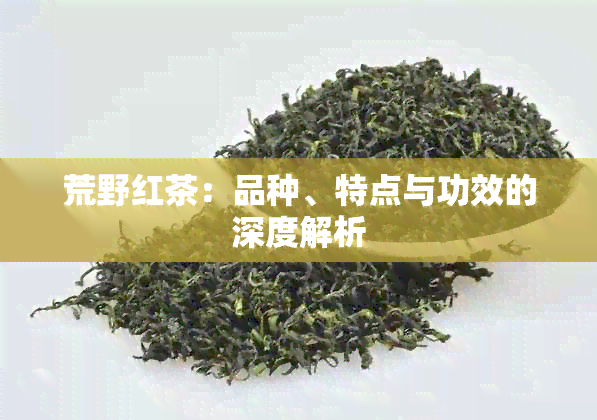 荒野红茶：品种、特点与功效的深度解析