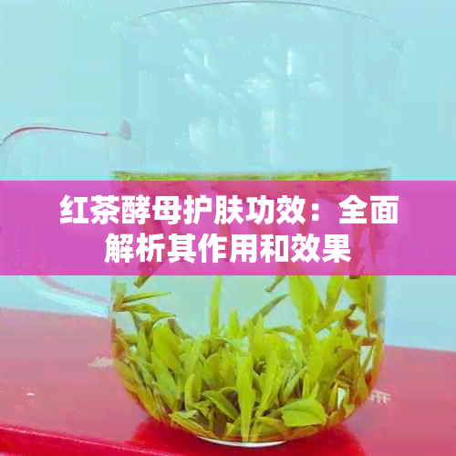 红茶酵母护肤功效：全面解析其作用和效果