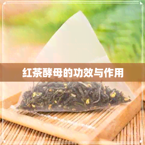 红茶酵母的功效与作用