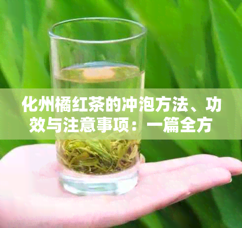 化州橘红茶的冲泡方法、功效与注意事项：一篇全方位指南