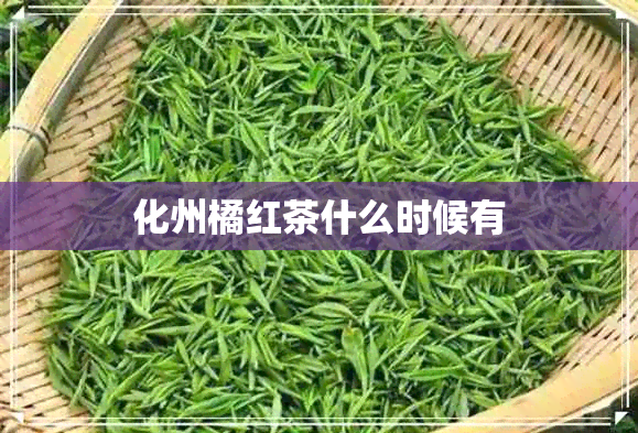 化州橘红茶什么时候有