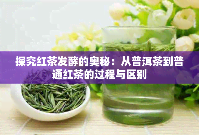 探究红茶发酵的奥秘：从普洱茶到普通红茶的过程与区别