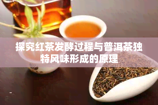 探究红茶发酵过程与普洱茶独特风味形成的原理