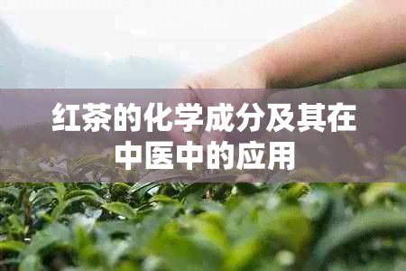 红茶的化学成分及其在中医中的应用