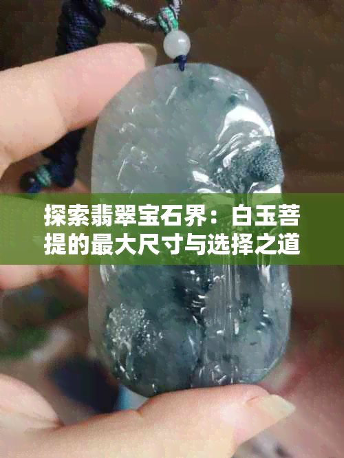 探索翡翠宝石界：白玉菩提的更大尺寸与选择之道