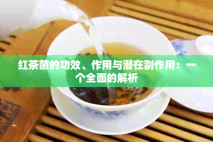 红茶菌的功效、作用与潜在副作用：一个全面的解析