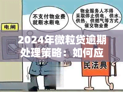 2024年微粒贷逾期处理策略：如何应对还款困难与无能力偿还？