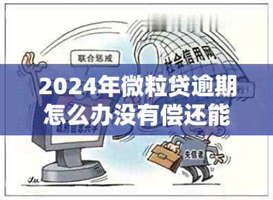 2024年微粒贷逾期怎么办没有偿还能力了