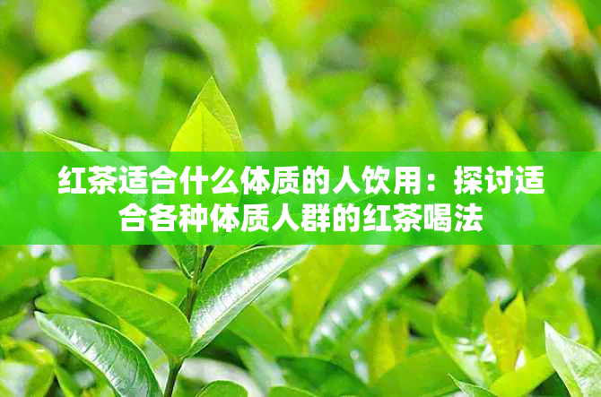 红茶适合什么体质的人饮用：探讨适合各种体质人群的红茶喝法