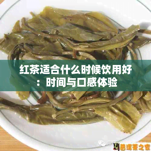 红茶适合什么时候饮用好：时间与口感体验