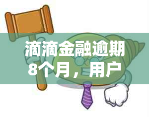 滴滴金融逾期8个月，用户向当地报案的全流程及影响解读