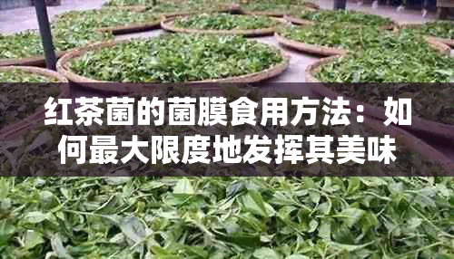 红茶菌的菌膜食用方法：如何更大限度地发挥其美味与保健效果