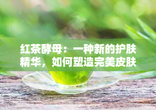 红茶酵母：一种新的护肤精华，如何塑造完美皮肤