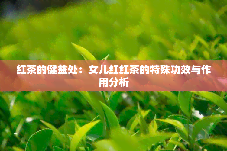 红茶的健益处：女儿红红茶的特殊功效与作用分析