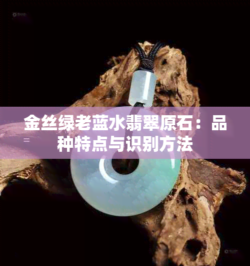 金丝绿老蓝水翡翠原石：品种特点与识别方法