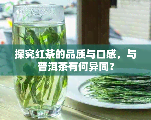 探究红茶的品质与口感，与普洱茶有何异同？