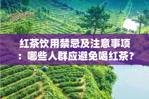 红茶饮用禁忌及注意事项：哪些人群应避免喝红茶？