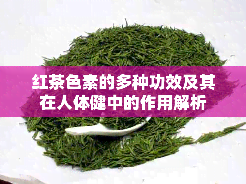 红茶色素的多种功效及其在人体健中的作用解析