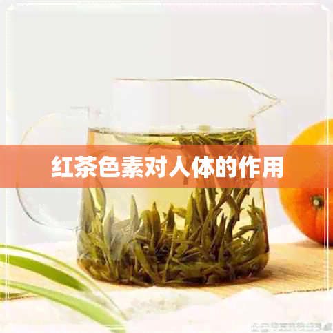 红茶色素对人体的作用