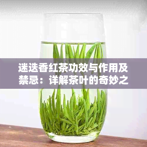 迷迭香红茶功效与作用及禁忌：详解茶叶的奇妙之处