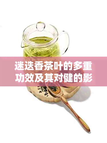 迷迭香茶叶的多重功效及其对健的影响：一份全面的指南