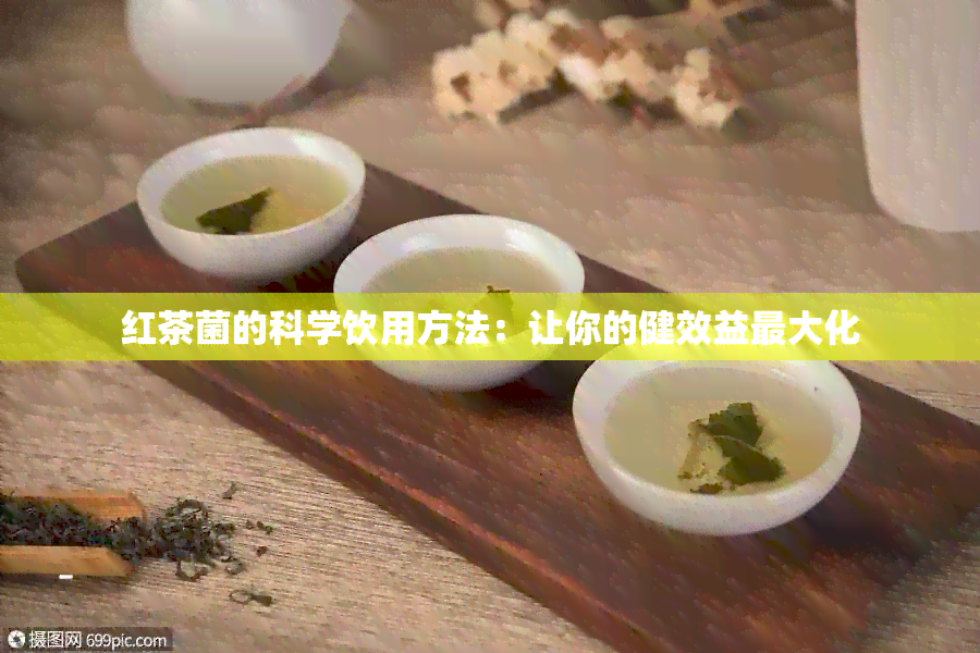 红茶菌的科学饮用方法：让你的健效益更大化