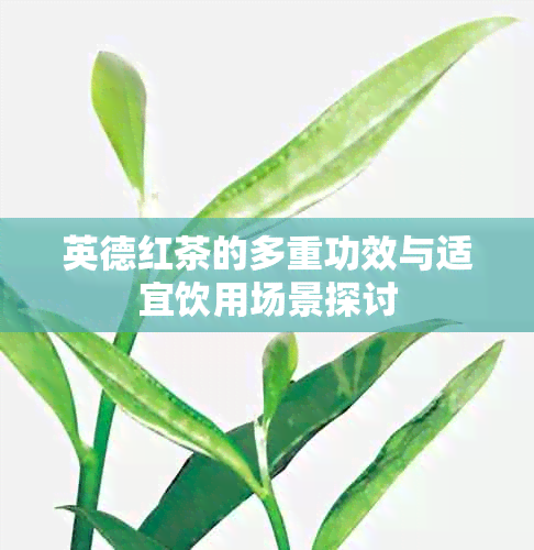 英德红茶的多重功效与适宜饮用场景探讨