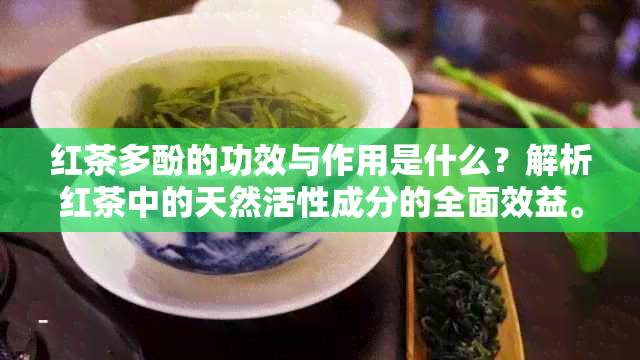 红茶多酚的功效与作用是什么？解析红茶中的天然活性成分的全面效益。