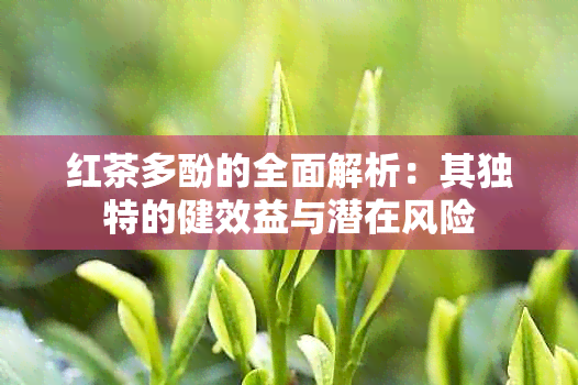 红茶多酚的全面解析：其独特的健效益与潜在风险