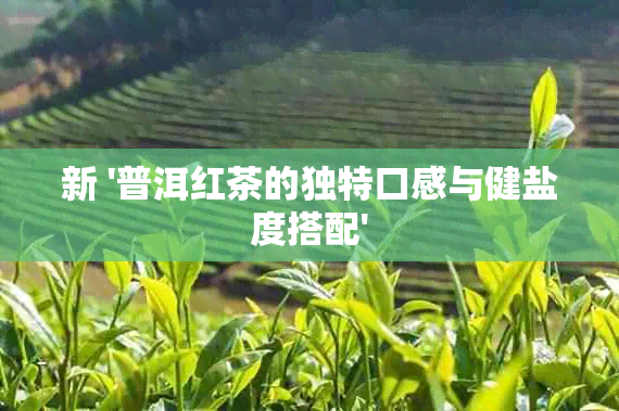 新 '普洱红茶的独特口感与健盐度搭配'