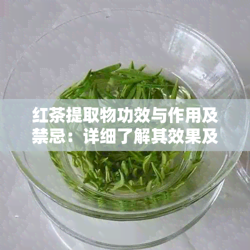 红茶提取物功效与作用及禁忌：详细了解其效果及注意事项