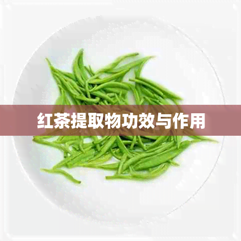 红茶提取物功效与作用