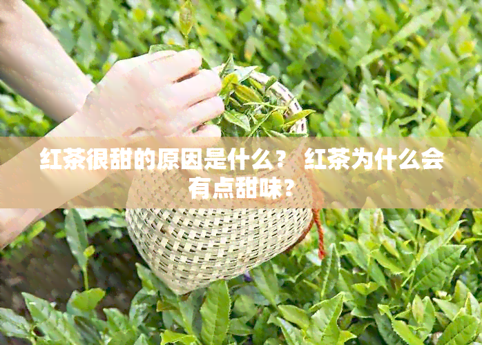 红茶很甜的原因是什么？ 红茶为什么会有点甜味？