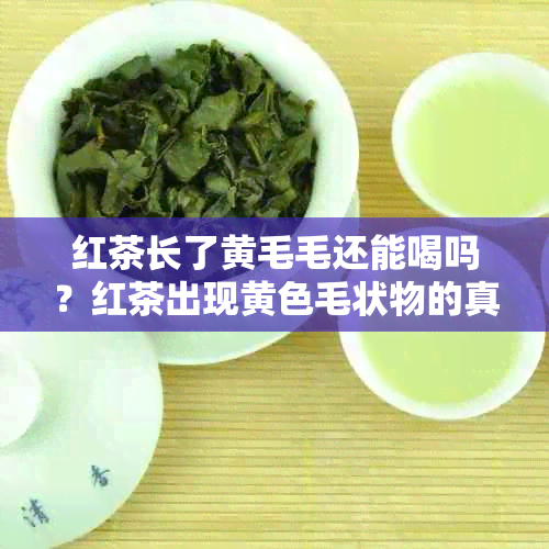 红茶长了黄毛毛还能喝吗？红茶出现黄色毛状物的真相解析