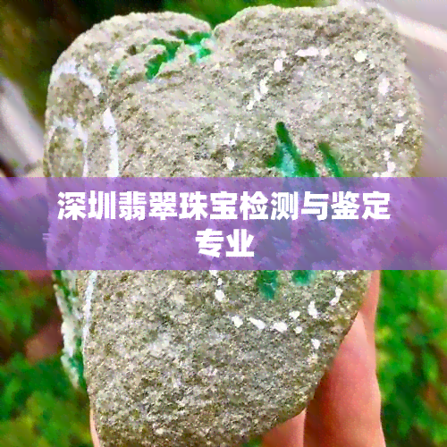 深圳翡翠珠宝检测与鉴定专业