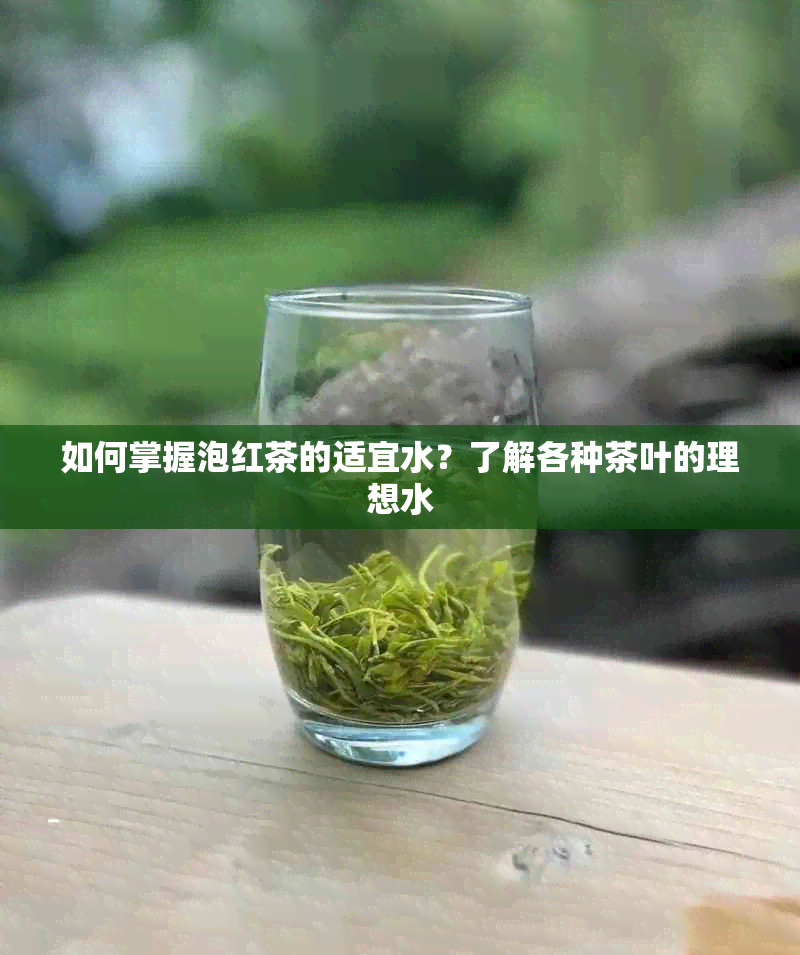 如何掌握泡红茶的适宜水？了解各种茶叶的理想水