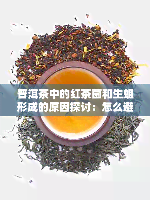 普洱茶中的红茶菌和生蛆形成的原因探讨：怎么避免和解决这个问题？