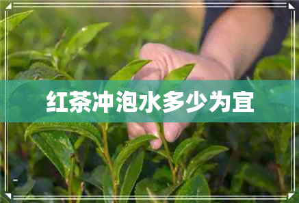 红茶冲泡水多少为宜