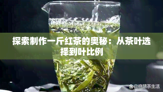 探索制作一斤红茶的奥秘：从茶叶选择到叶比例