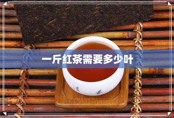 一斤红茶需要多少叶