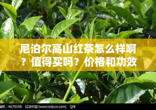 尼泊尔高山红茶怎么样啊？值得买吗？价格和功效如何？